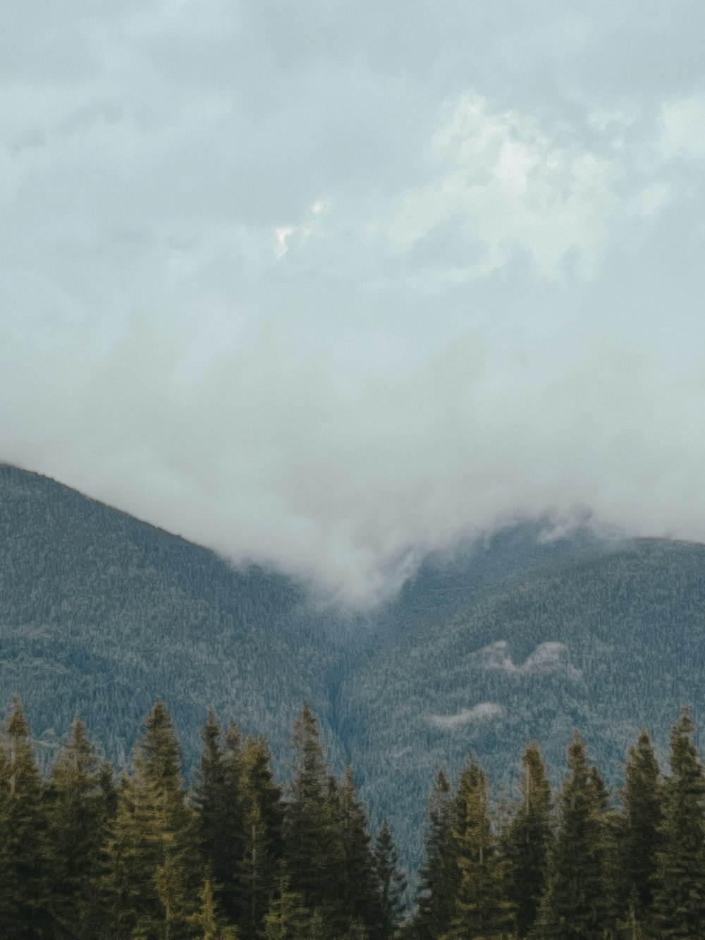 a view of a mountain range with trees in the foreground