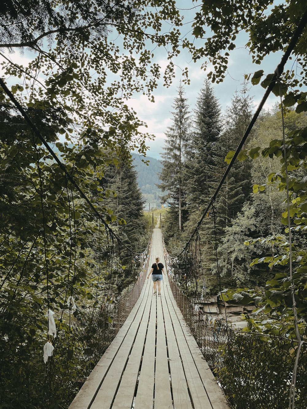 two people walking across a wooden bridge in the woods