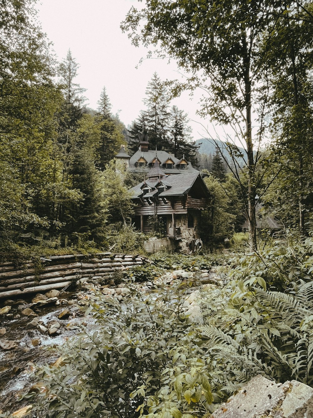 a house in the middle of a forest