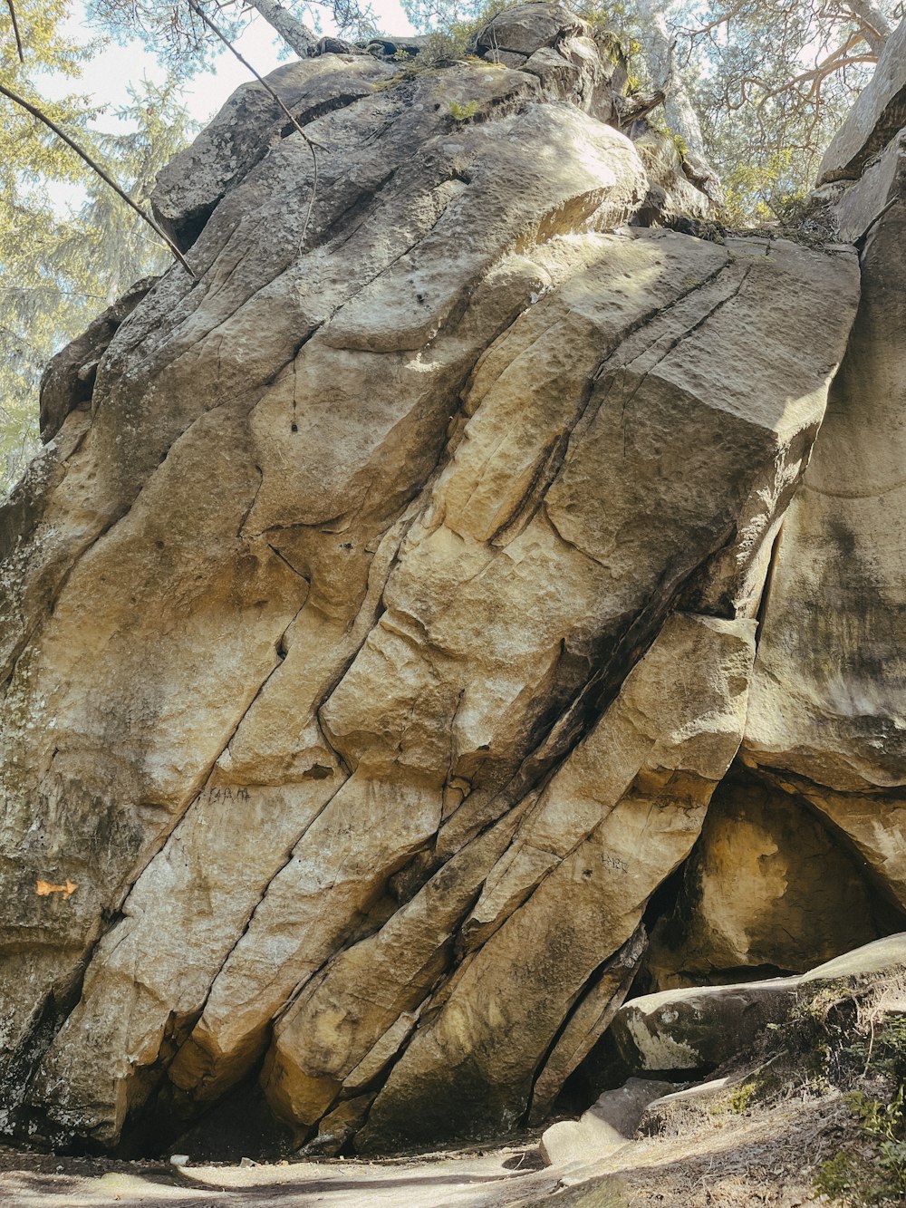 a large rock formation in the middle of a forest