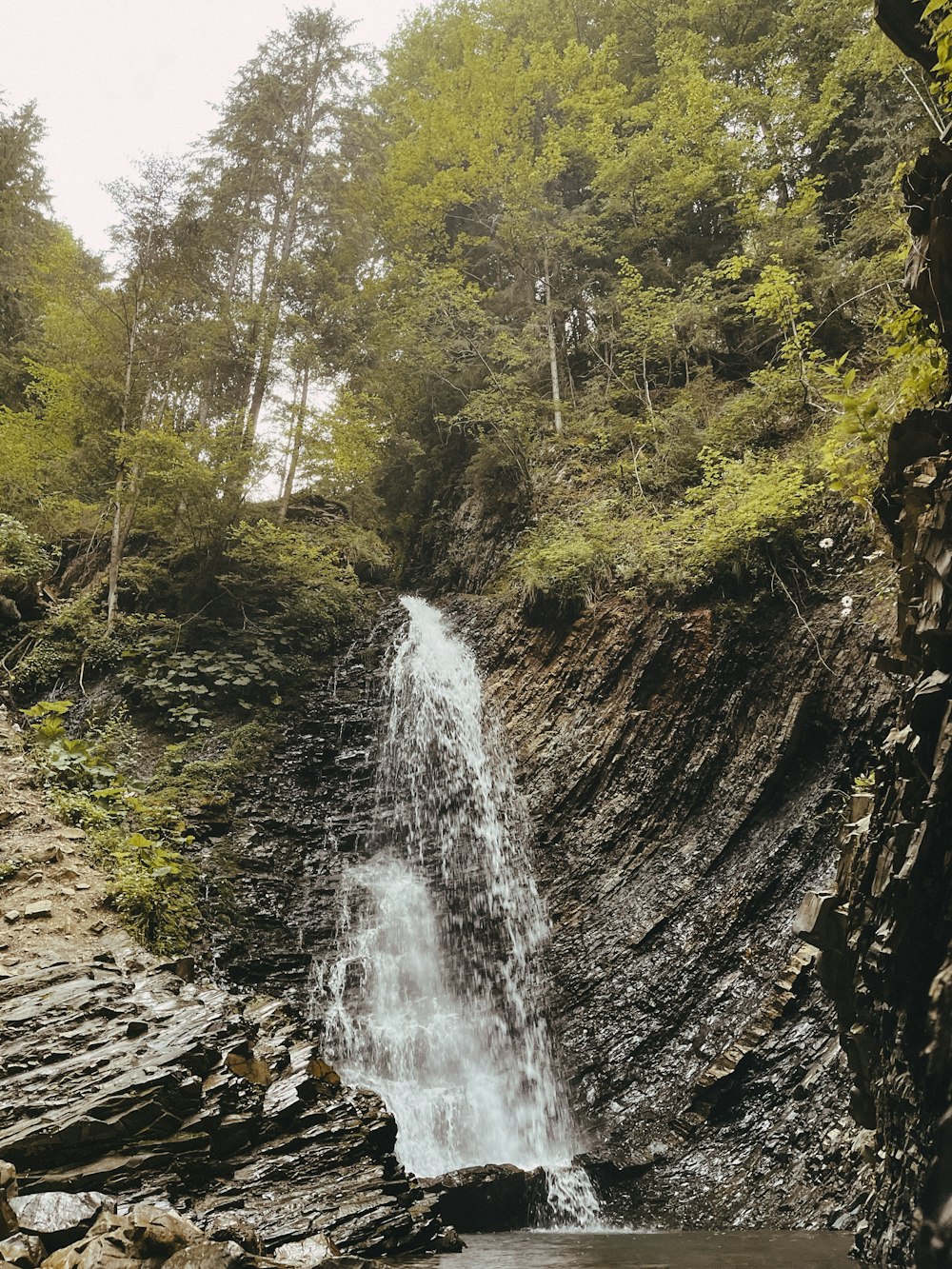 a large waterfall in the middle of a forest