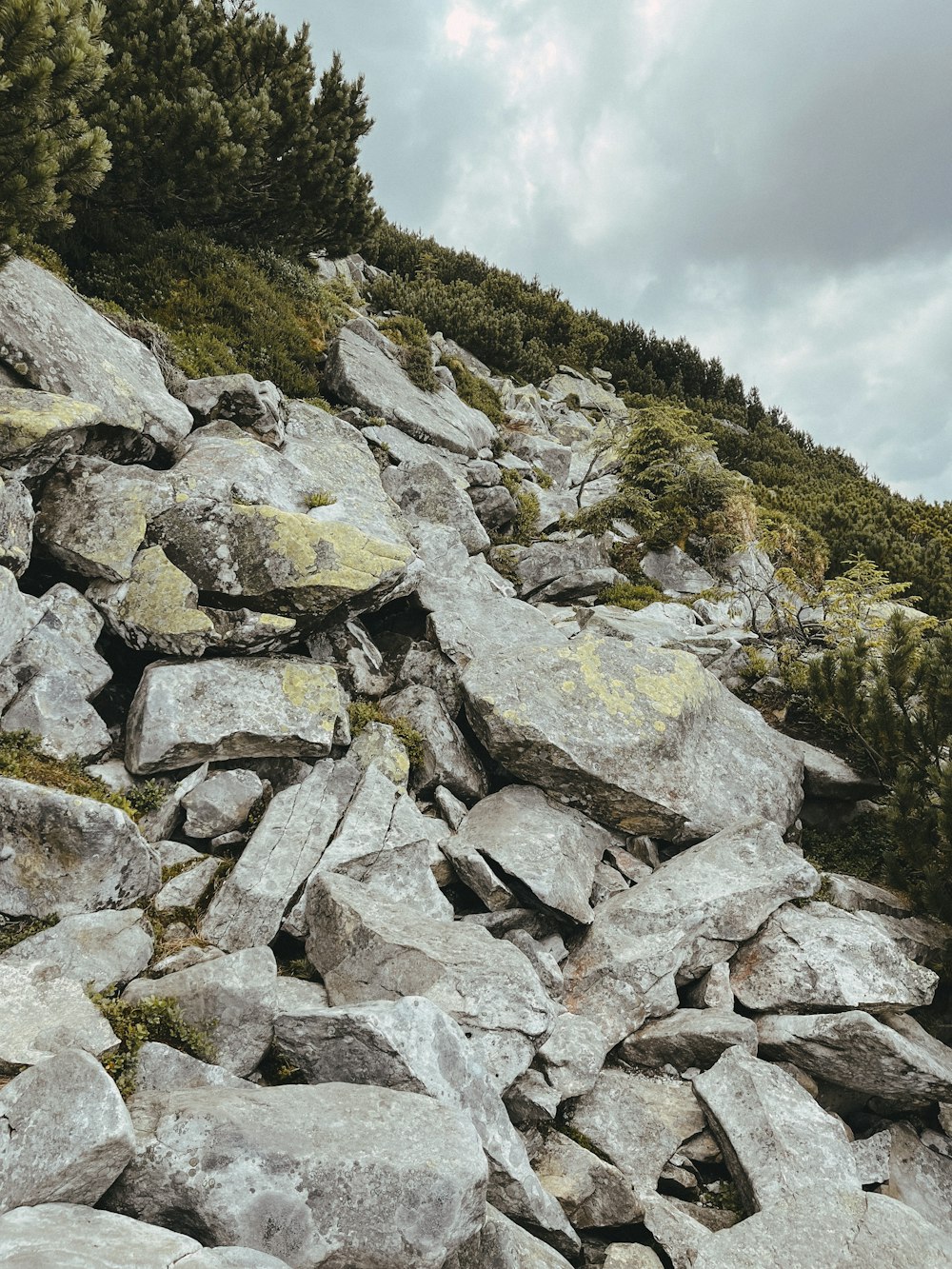 a large pile of rocks with trees in the background