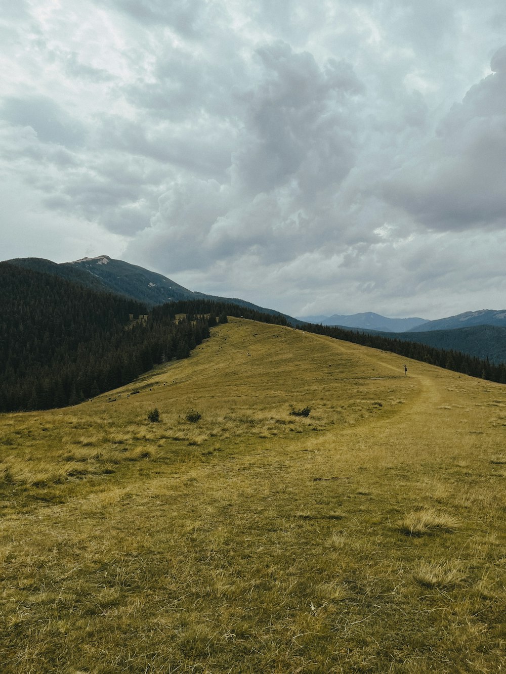 a grassy field with mountains in the background