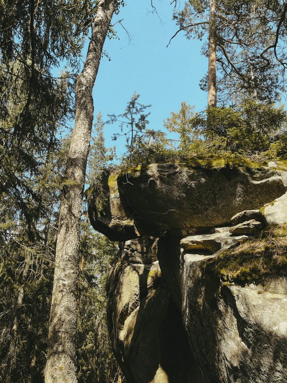 a rock formation with trees in the background