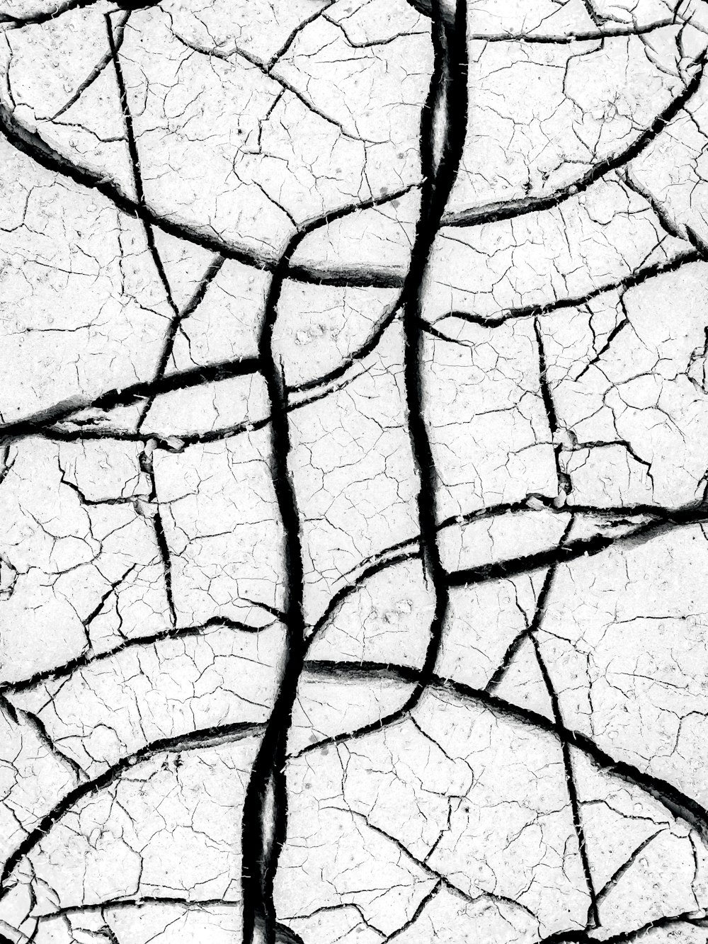 a black and white photo of a cracked surface