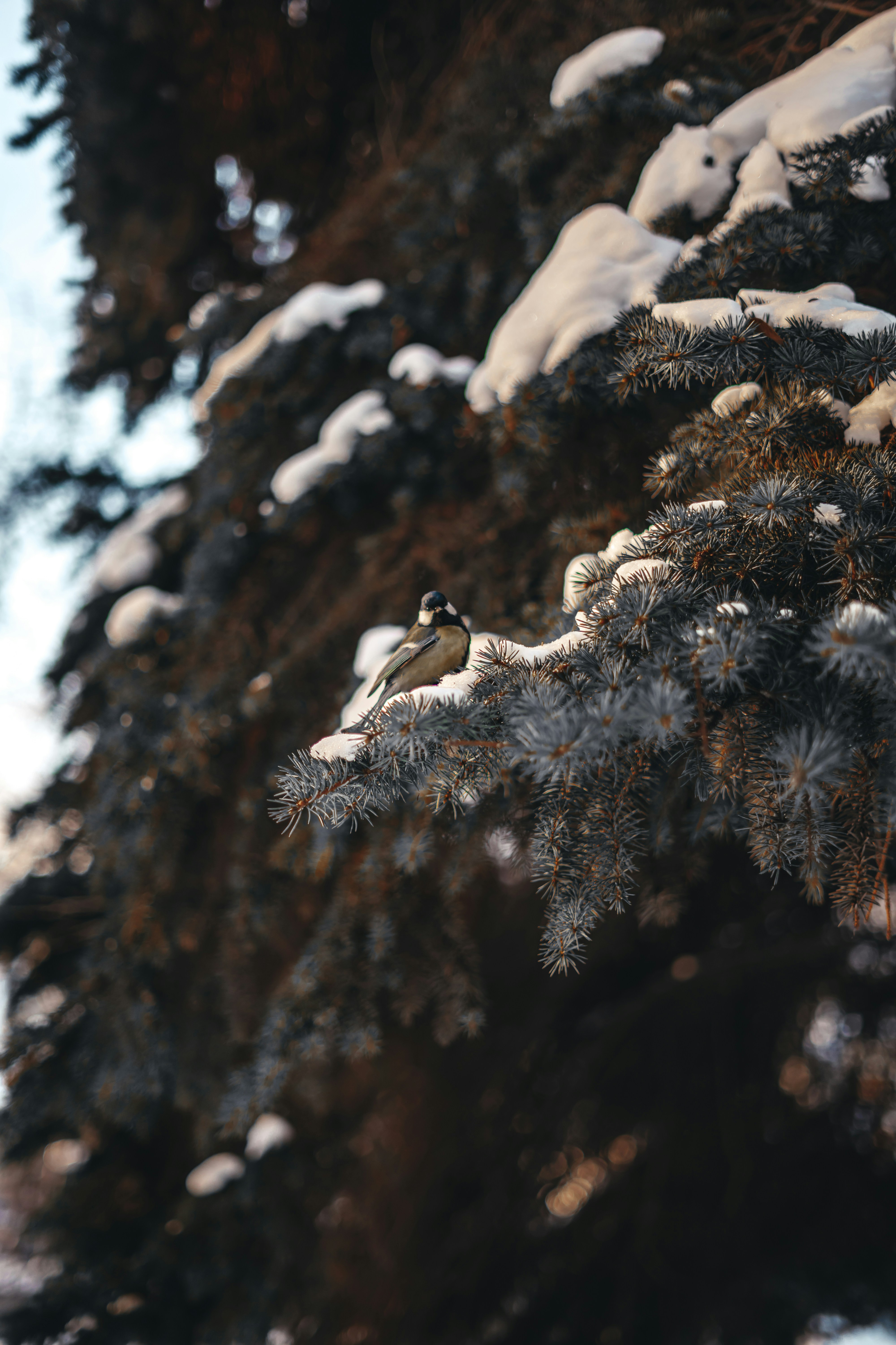 Photo by volkova_2897