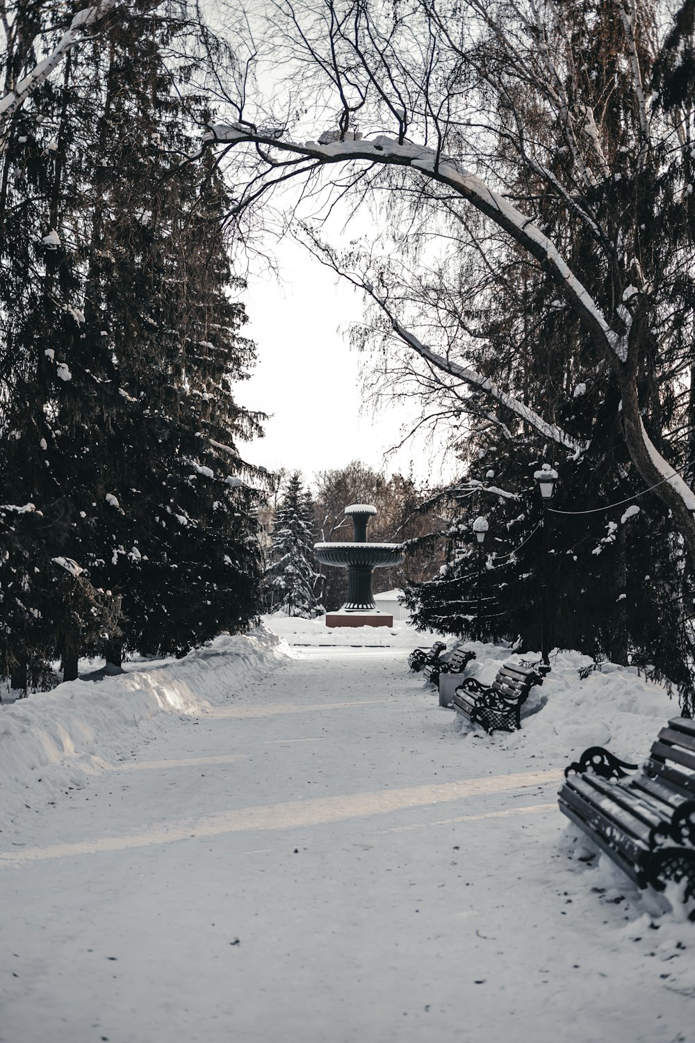 a snow covered park with benches and trees