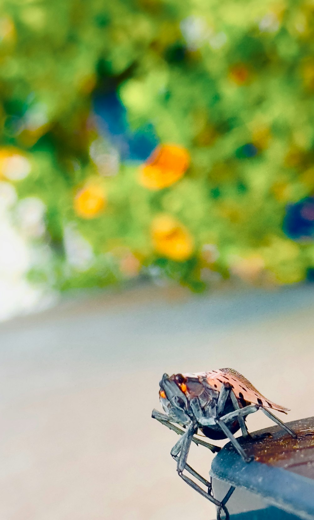 a small bug sitting on top of a metal rail