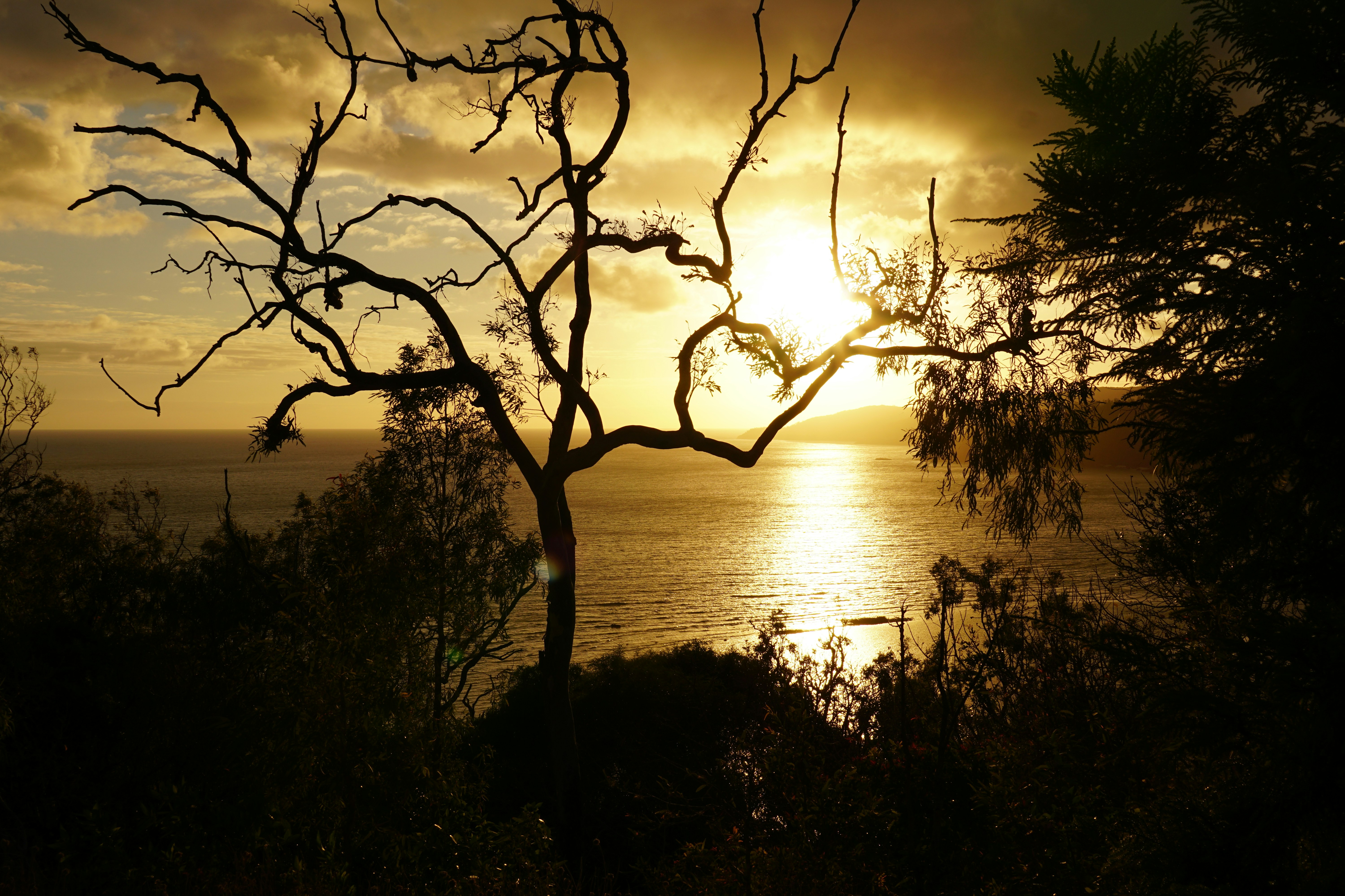 Photo by qld_traveller