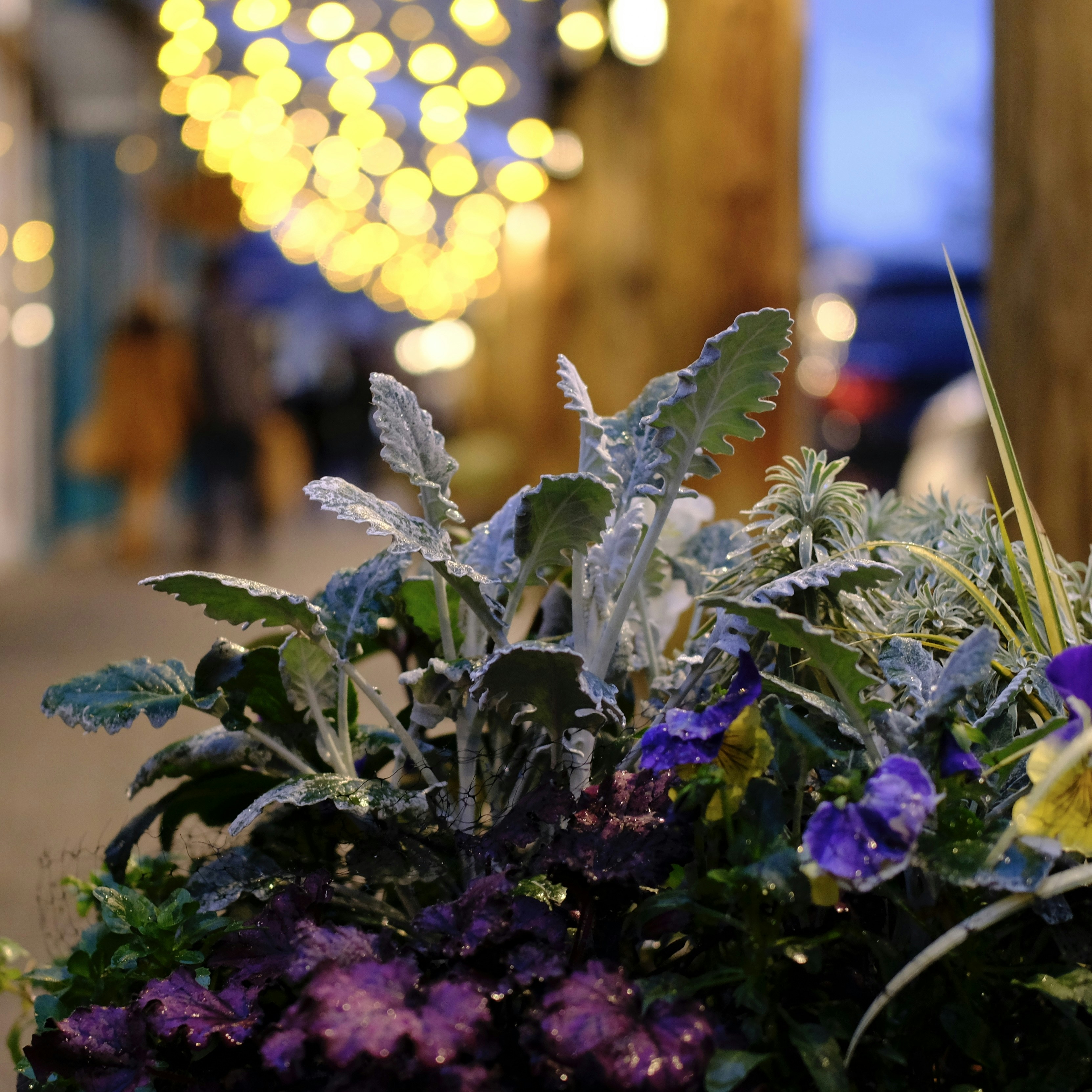 a bunch of flowers that are sitting on a table