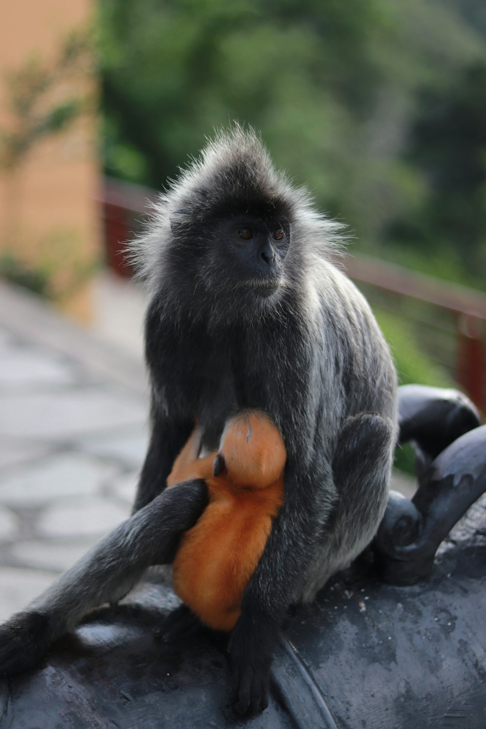 a monkey sitting on top of a metal object