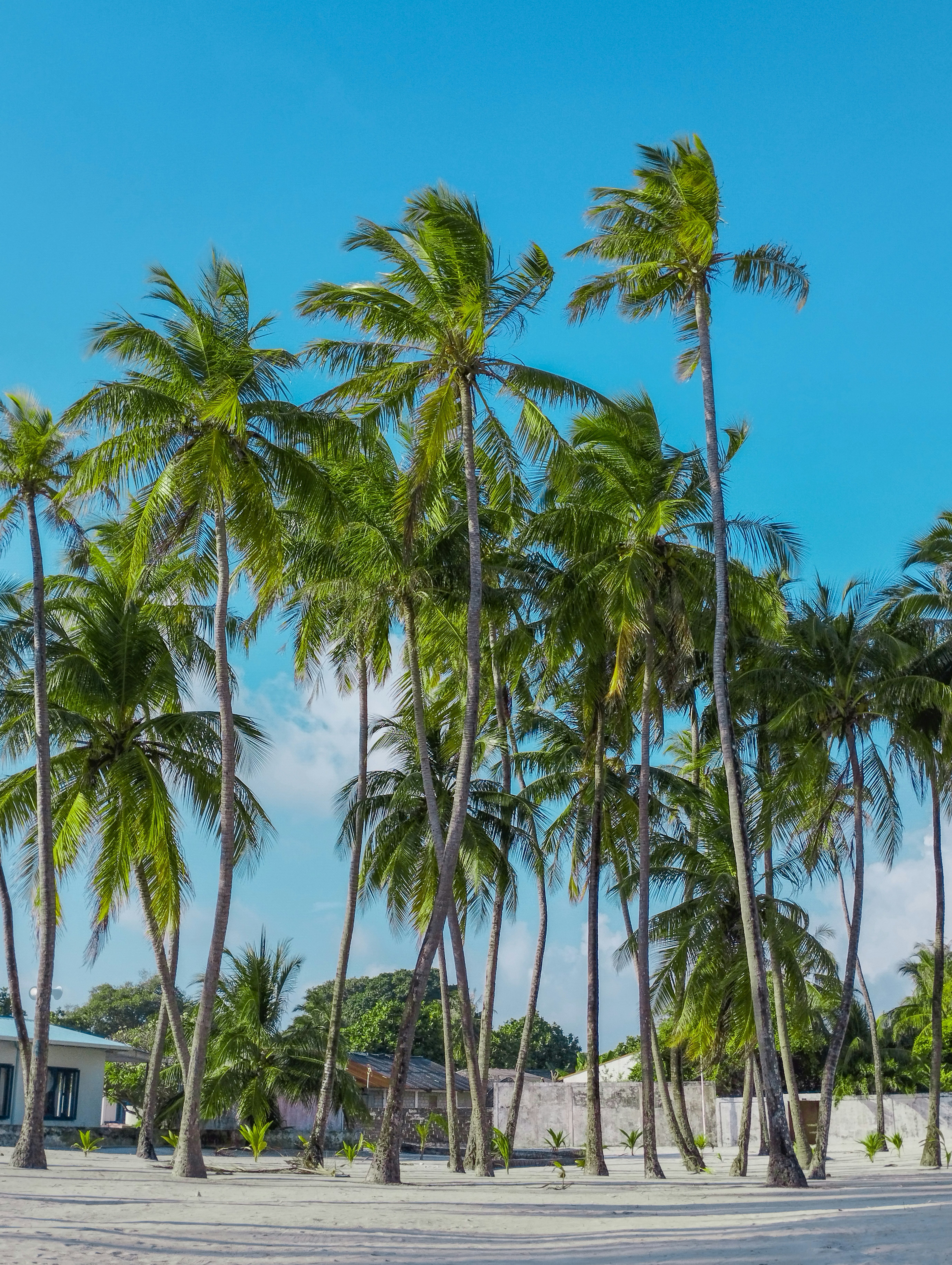 Photo by astrolonium