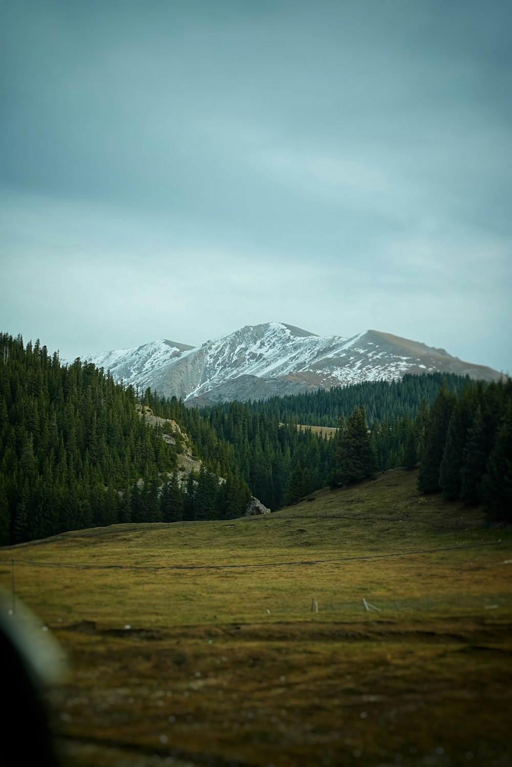 a grassy field with a mountain in the background