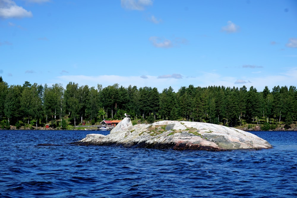 a small island in the middle of a lake