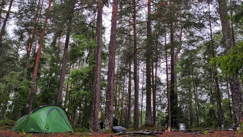 a tent pitched up in the middle of a forest