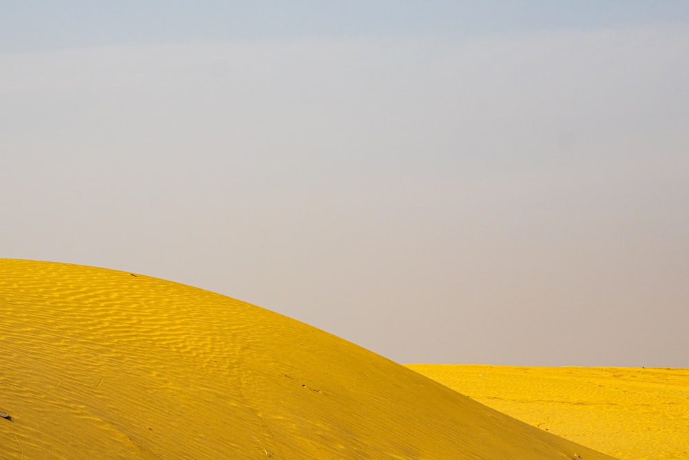 a person riding a horse across a yellow field