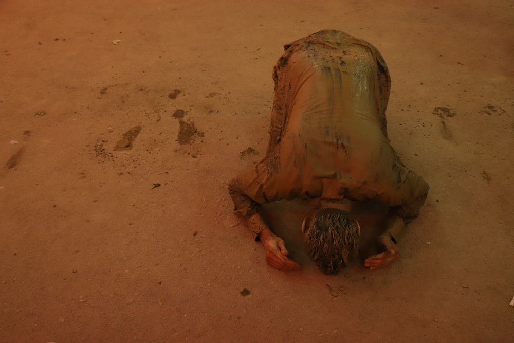 um animal morto deitado no chão na terra