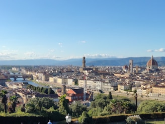 a view of a city from the top of a hill