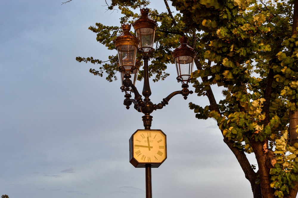 a clock on a pole next to a tree