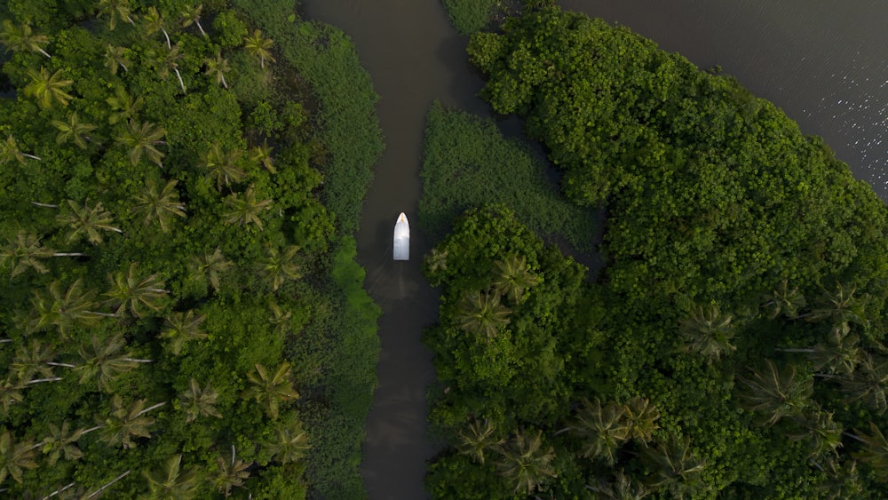 Una vista aérea de un barco en un río rodeado de árboles