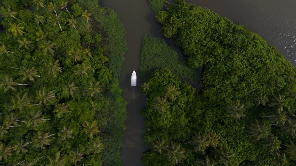an aerial view of a boat on a river surrounded by trees