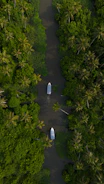 two boats are in the middle of a river surrounded by palm trees