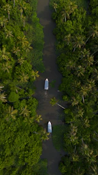 two boats are in the middle of a river surrounded by palm trees