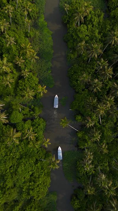 Wayanad Hills, Kerala photo 3