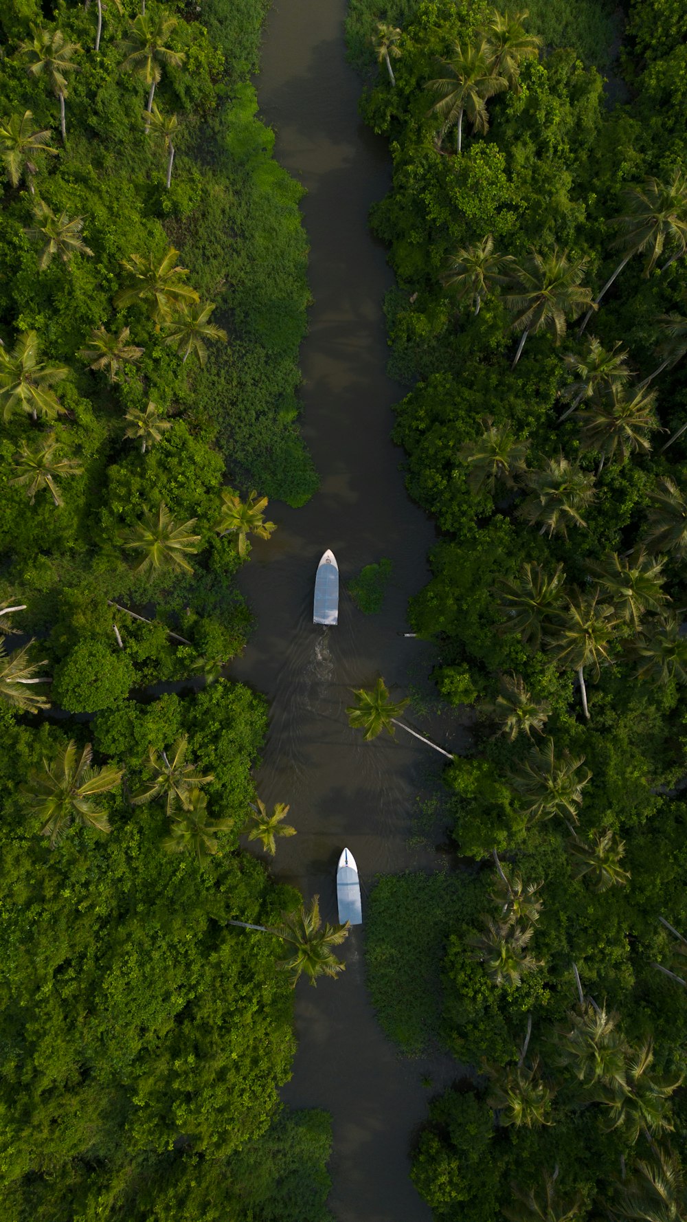 two boats are in the middle of a river surrounded by palm trees