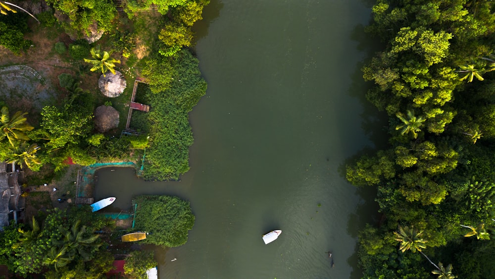 an aerial view of a lake surrounded by trees