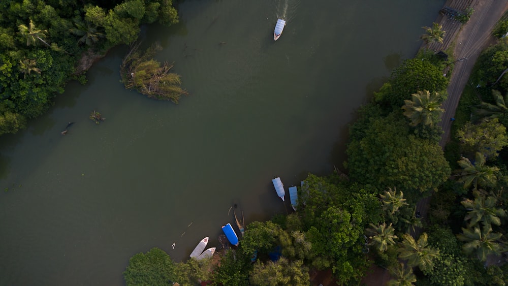 a river with several boats in it surrounded by trees