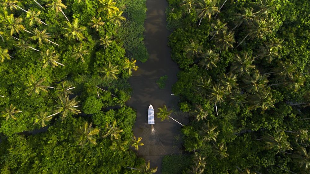 an aerial view of a boat on a river surrounded by trees