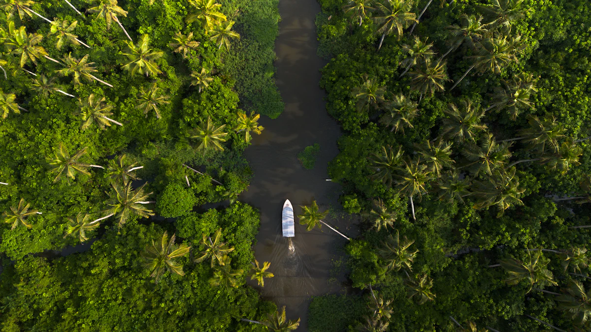 Trivandrum & Kanyakumari Express