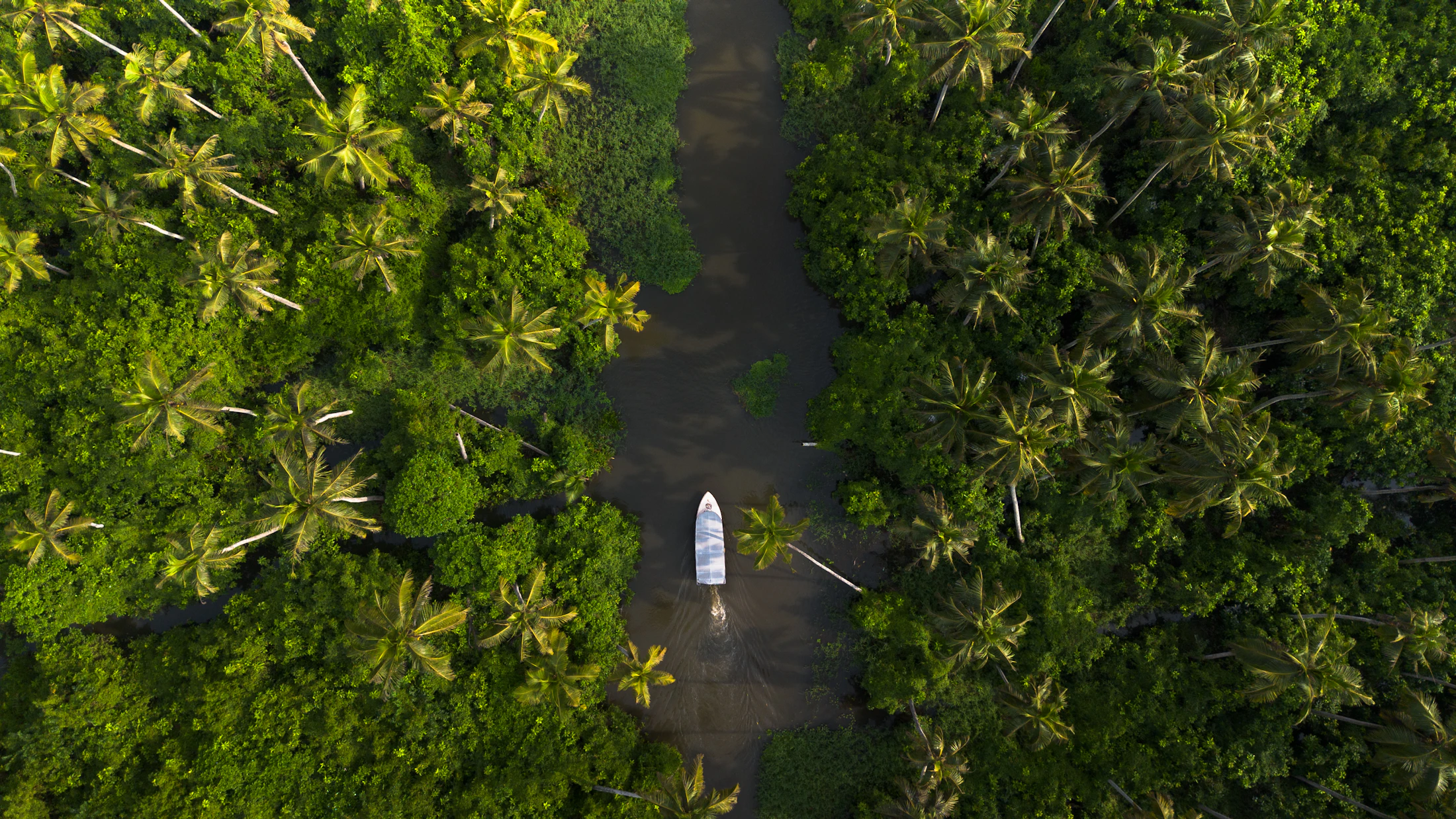 Aerial view of a narrow backwater channel cutting through dense coconut palms