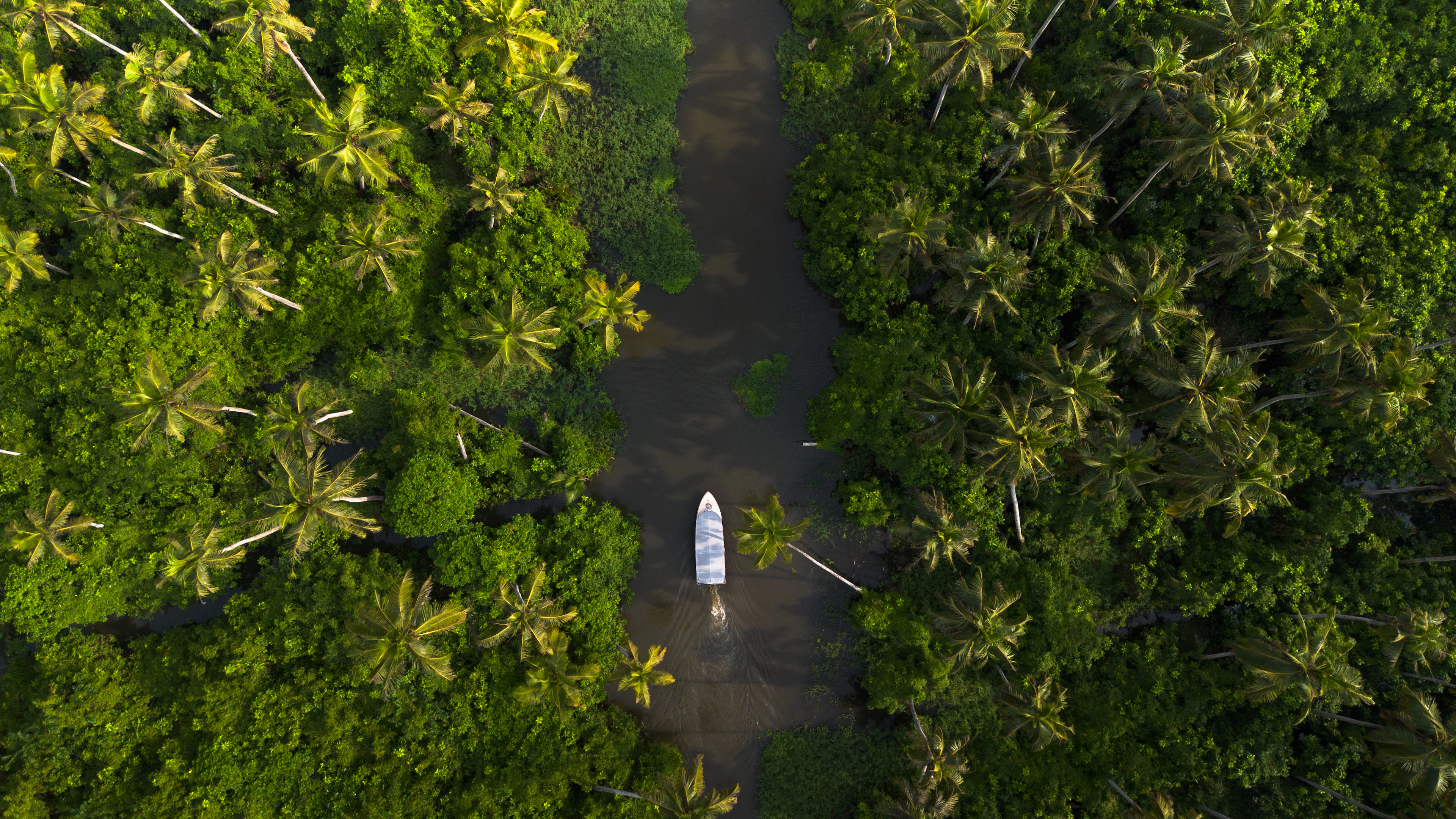 Aerial view of a traditional houseboat winding through Kerala's palm-fringed backwater canals