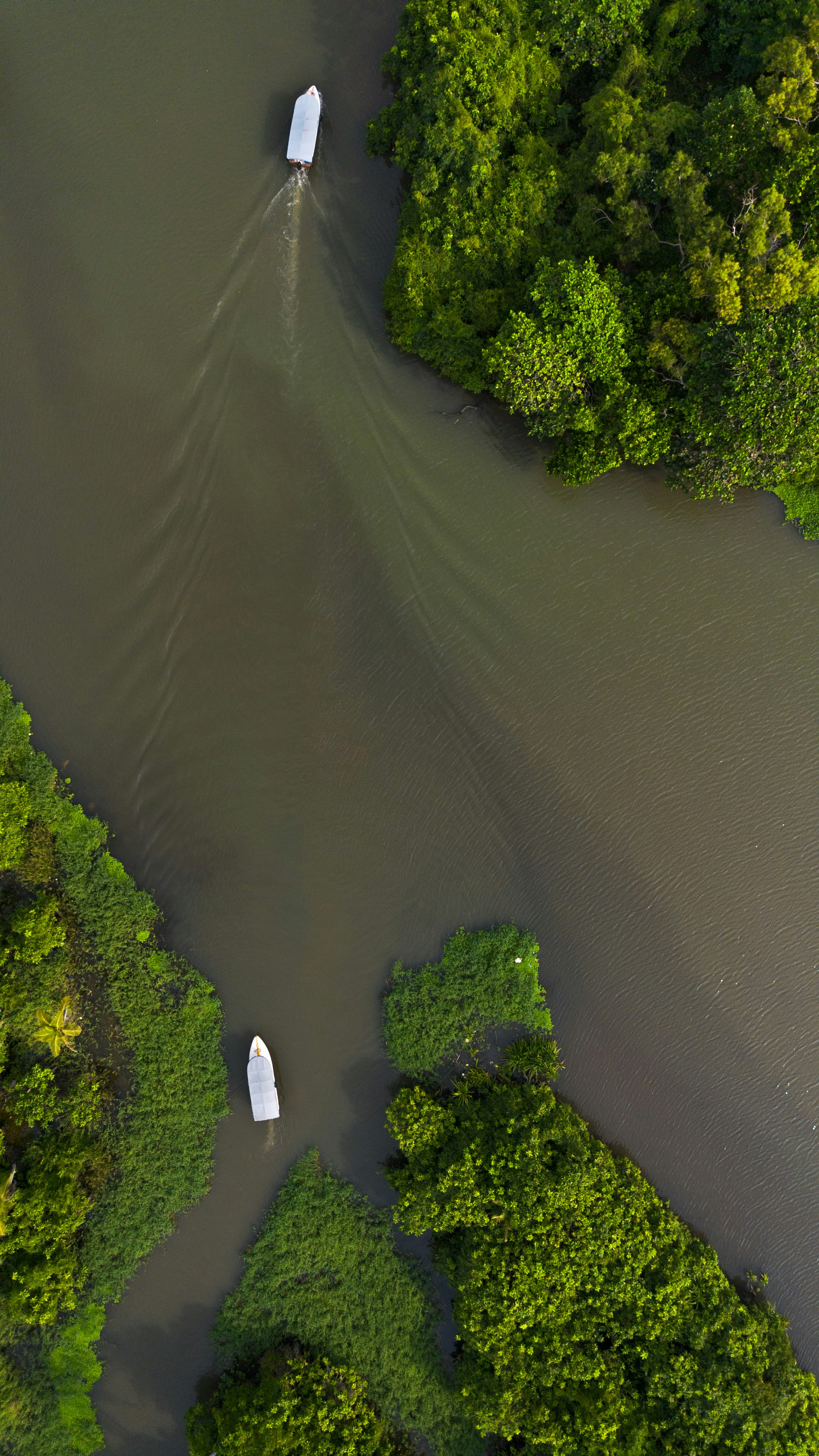 two boats floating on top of a river surrounded by trees