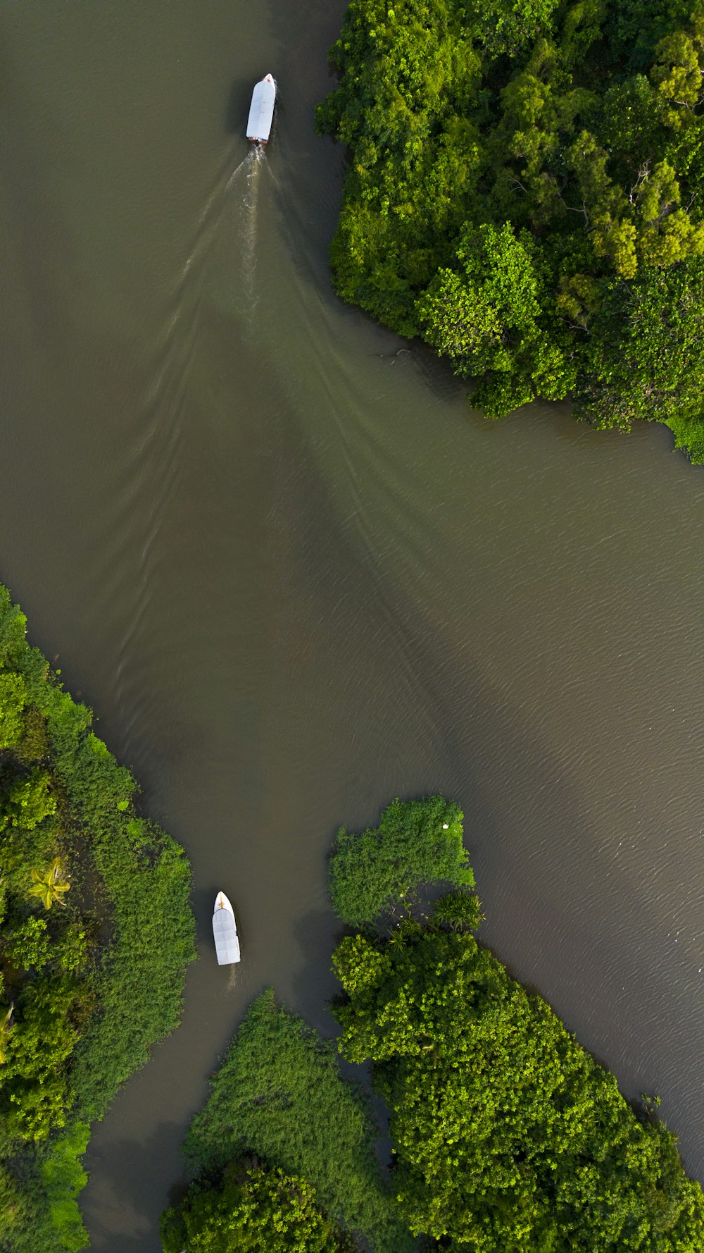 Dos botes flotando en la cima de un río rodeado de árboles