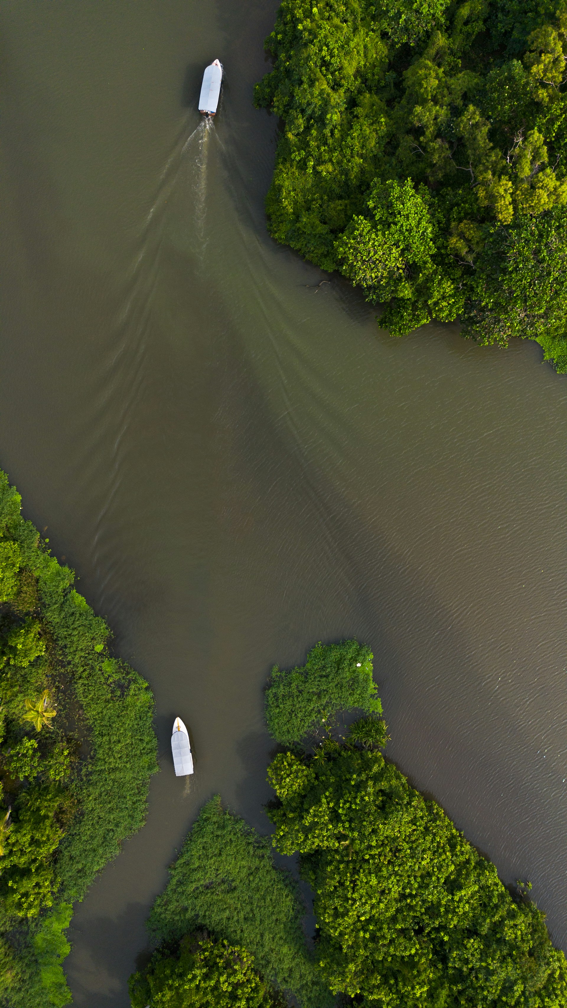 two boats floating on top of a river surrounded by trees