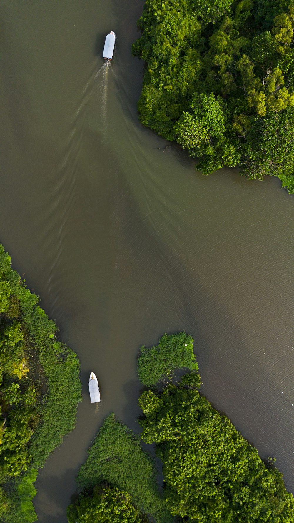 due barche che galleggiano sulla cima di un fiume circondato da alberi