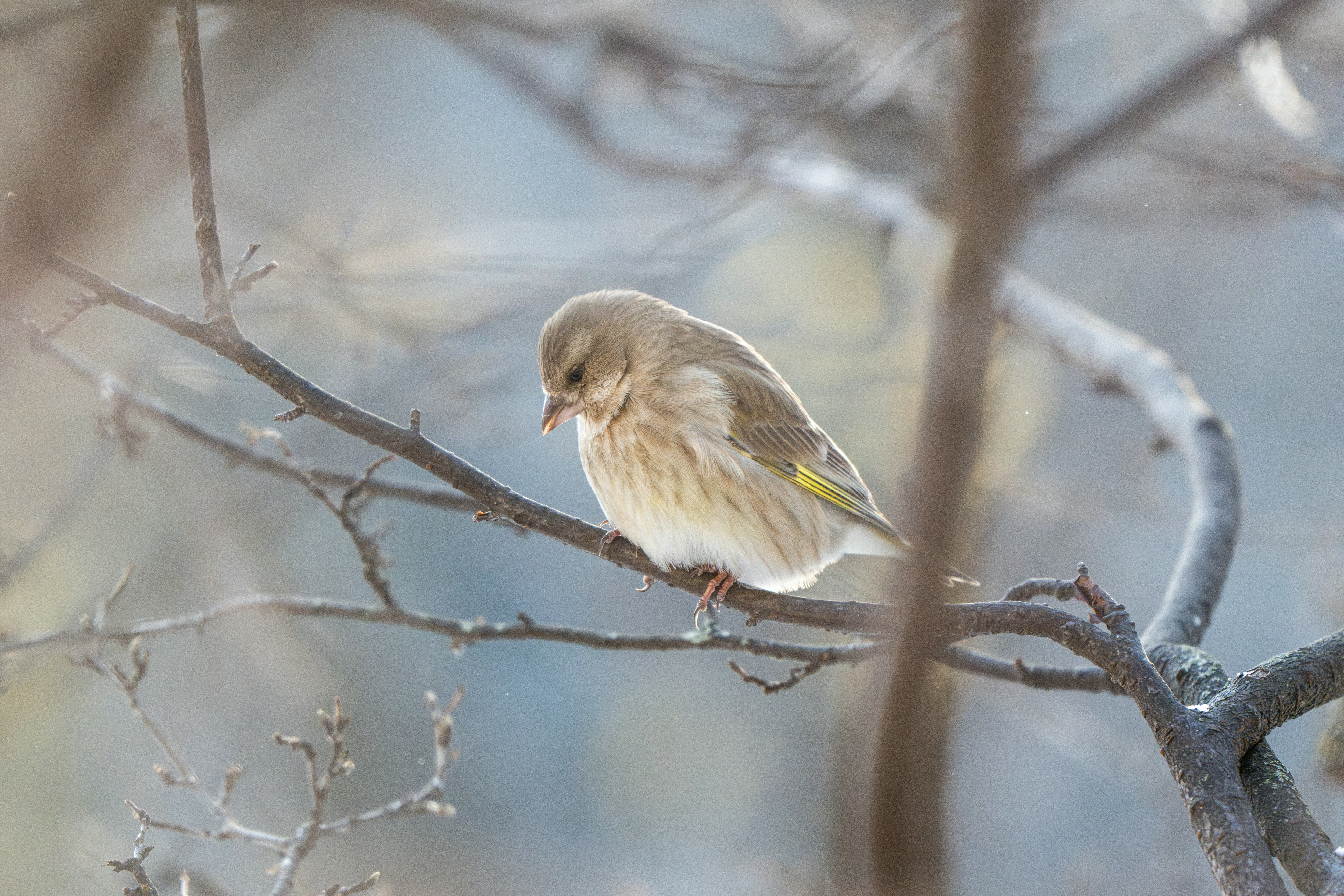 Photo by andreystrizhkov