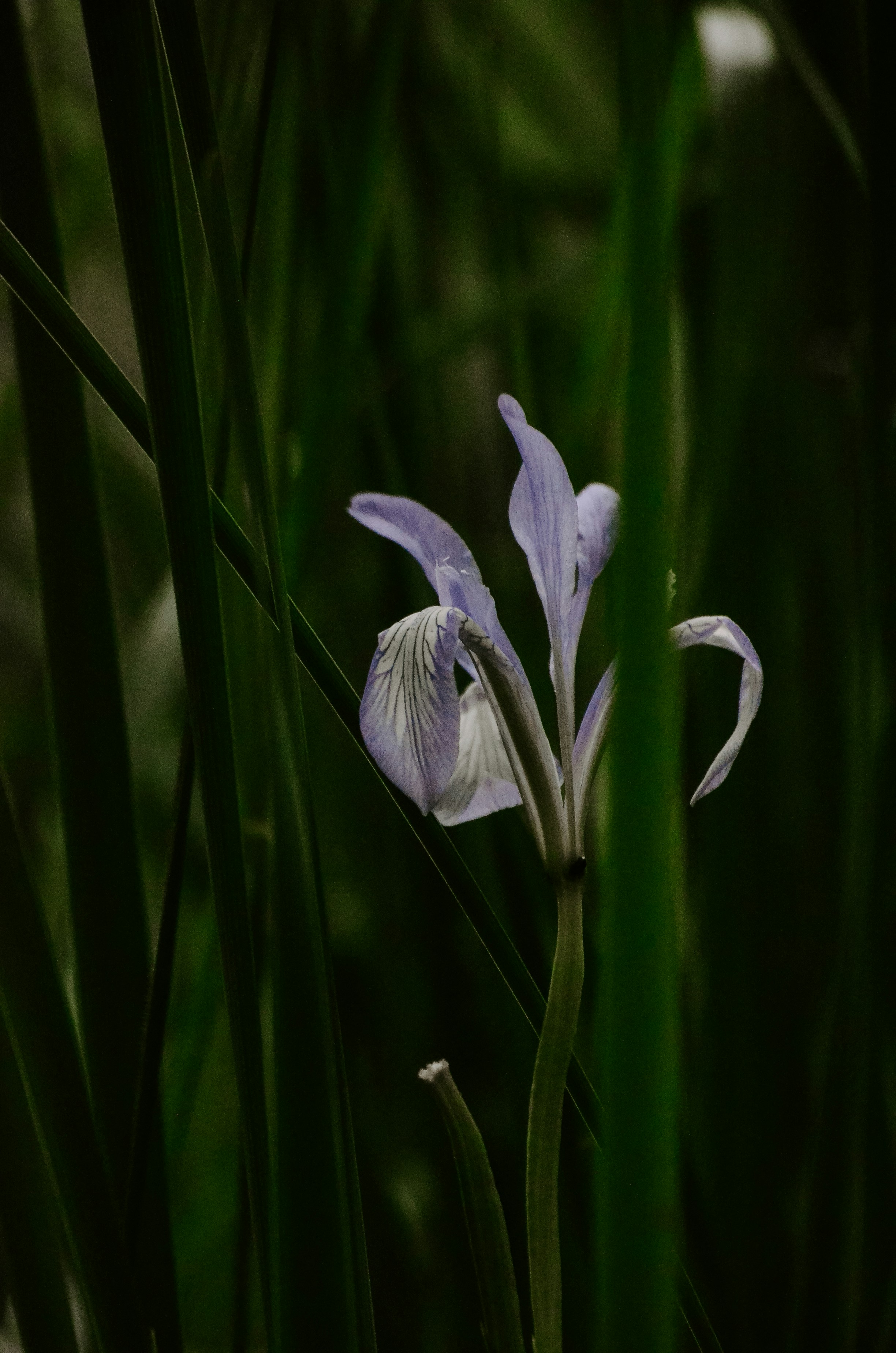 Photo by yourvladlena