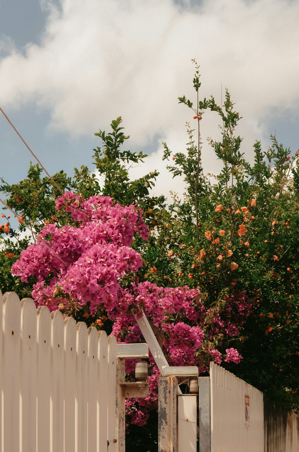 a white picket fence with pink flowers on it