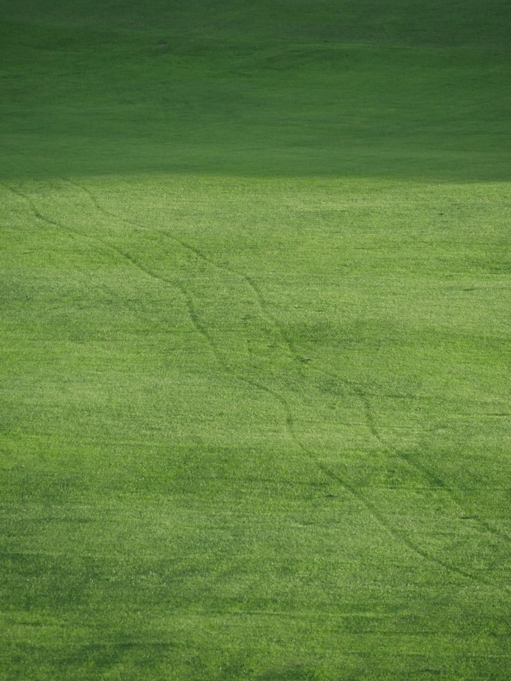 a person walking across a lush green field