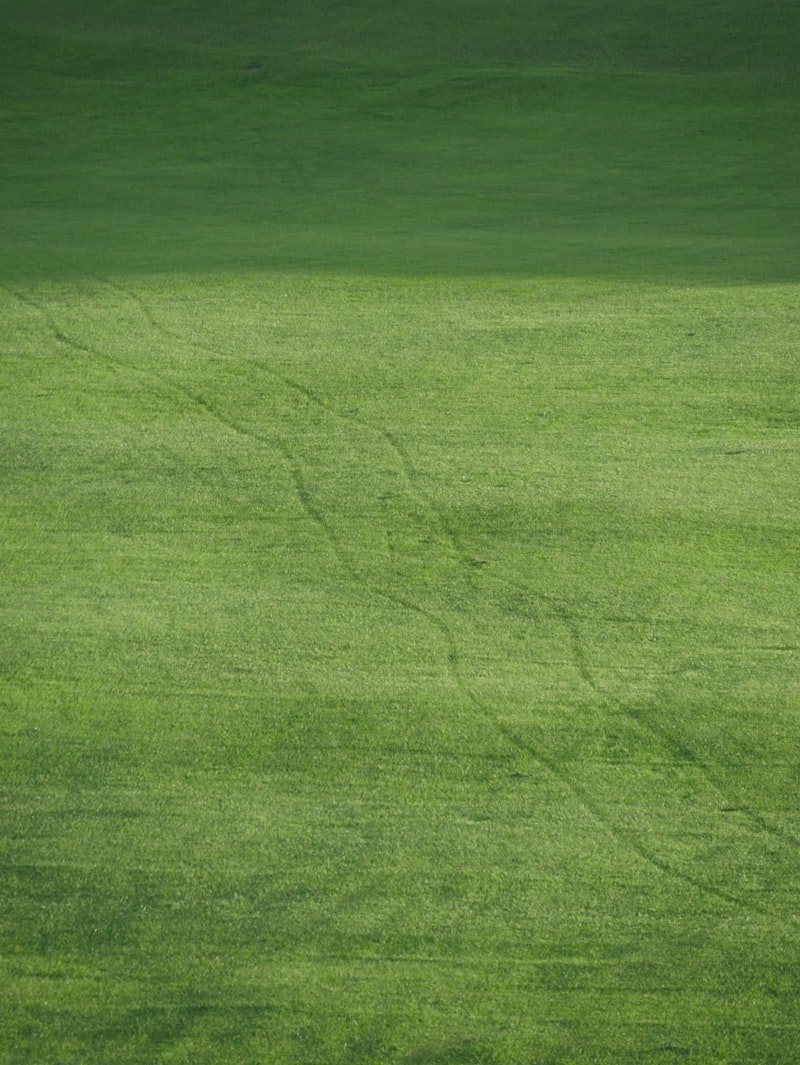 Freshly mown lawn with a striped mowing pattern