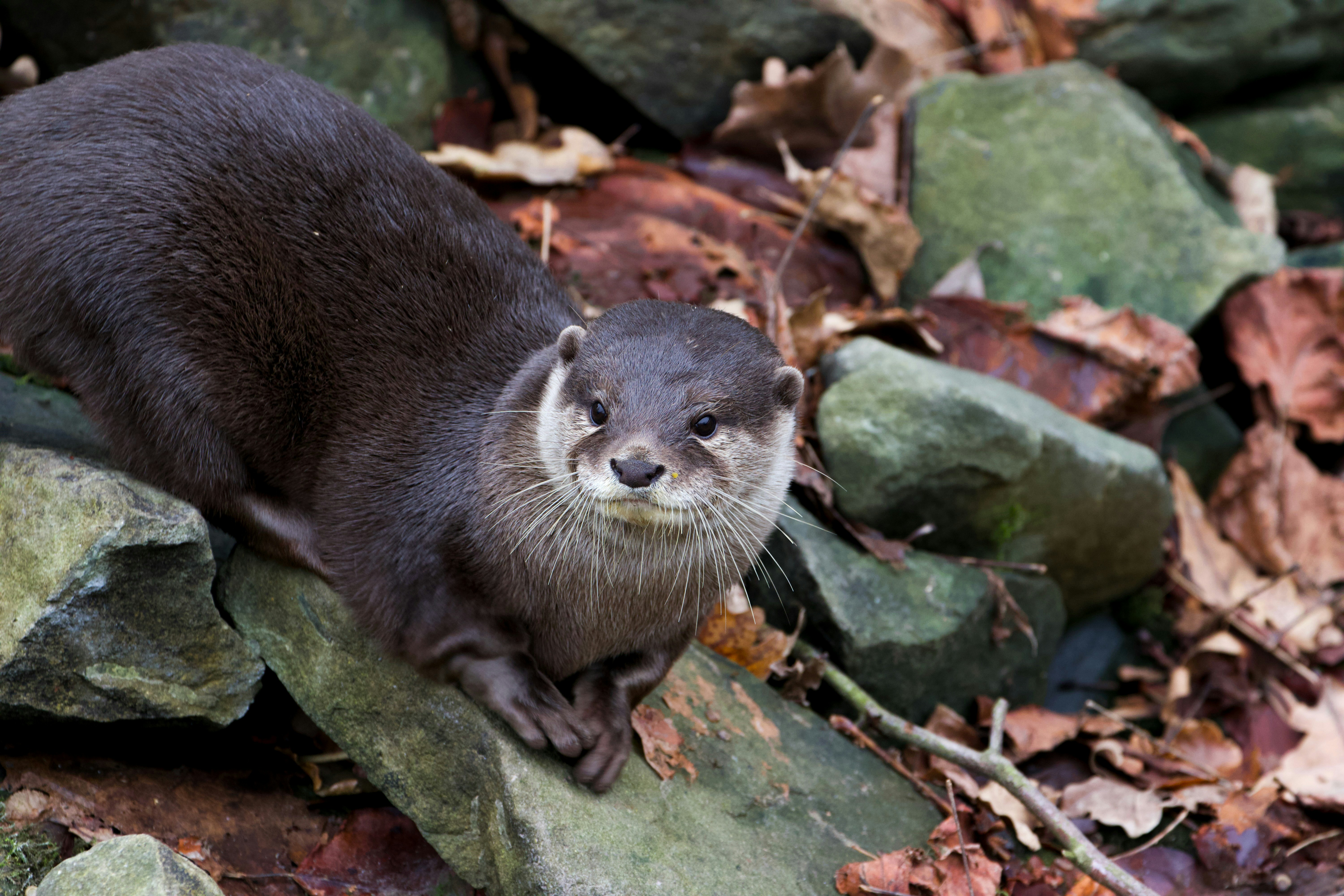 Photo by jakub_neskora