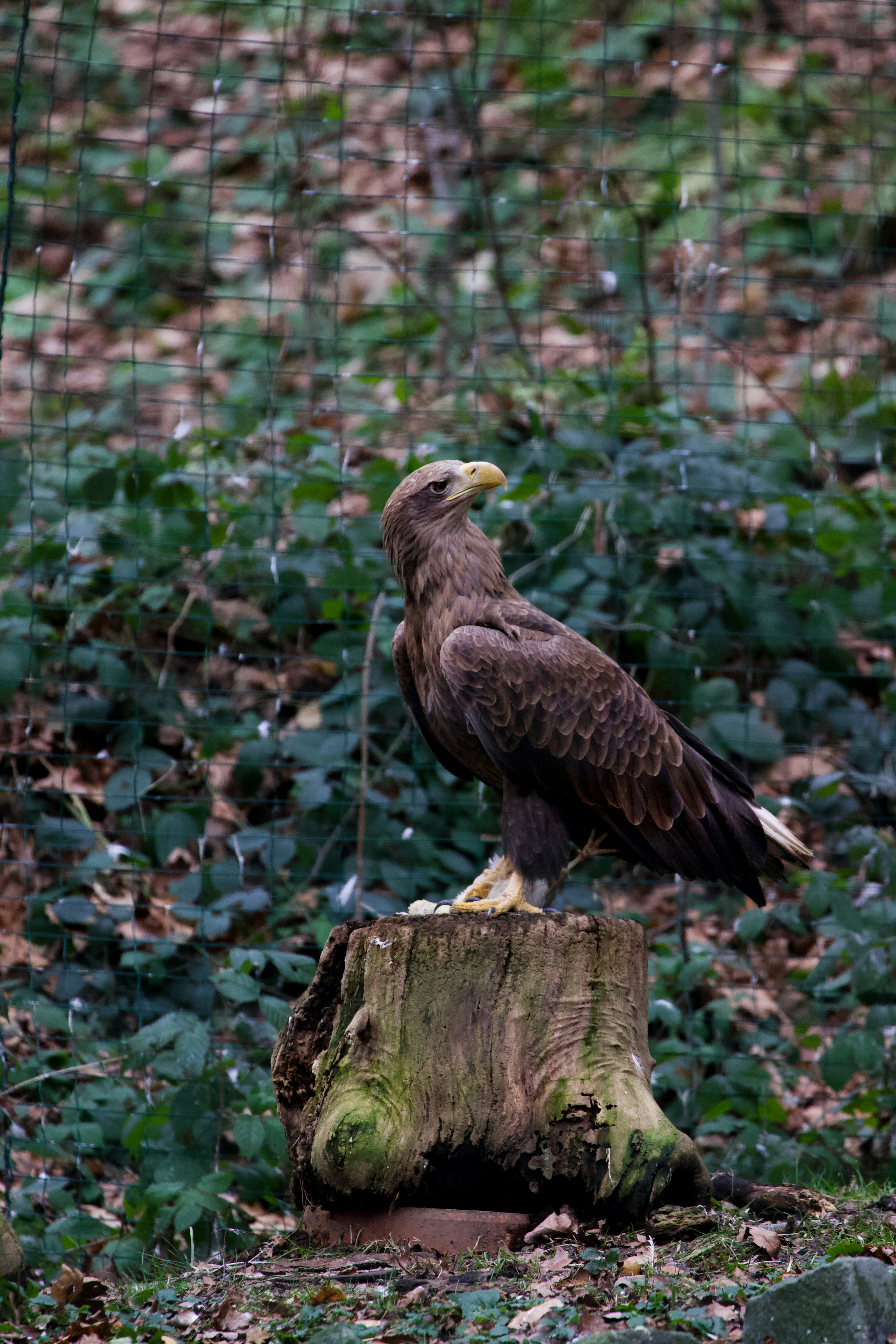 Photo by jakub_neskora