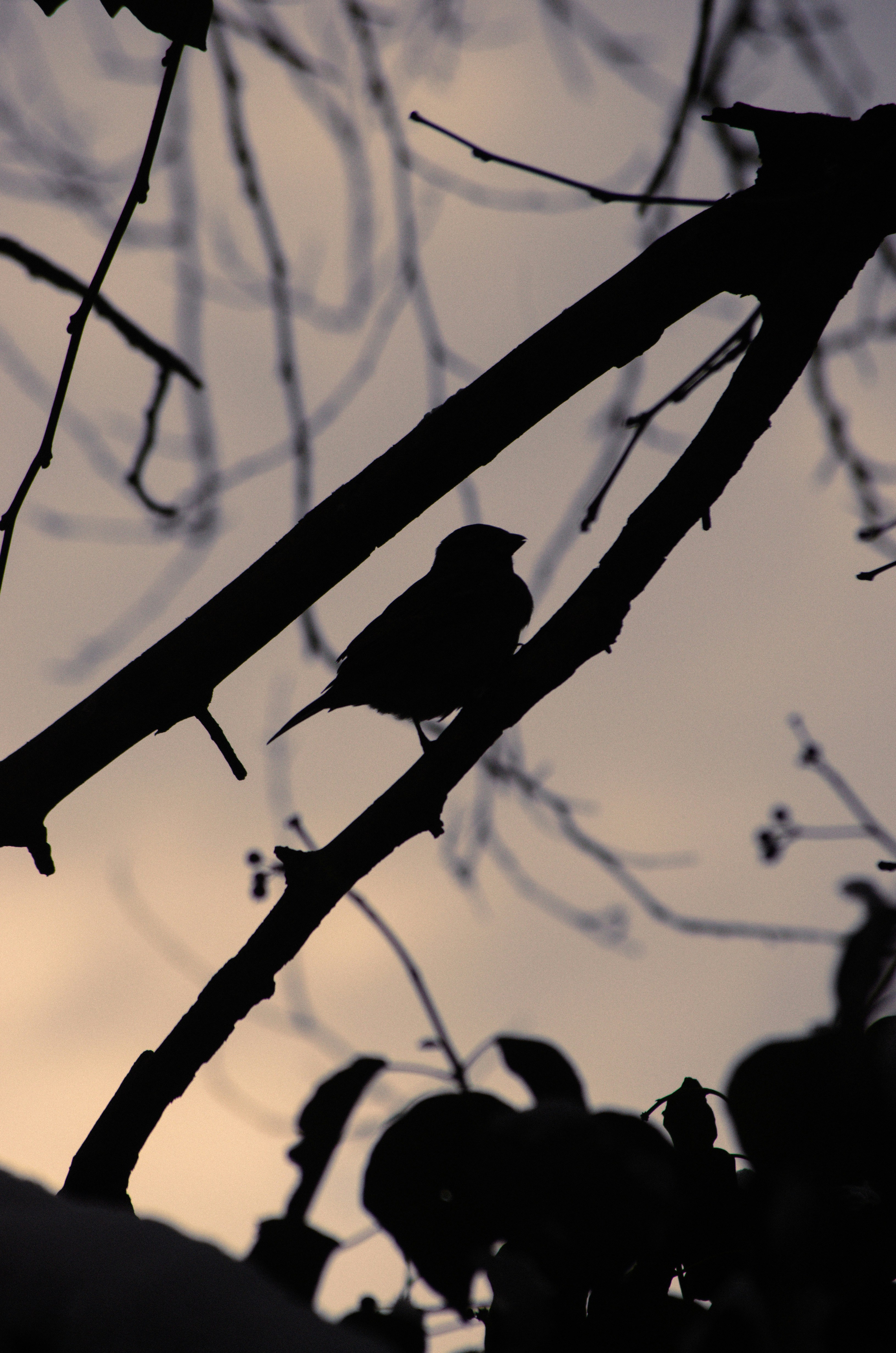 Photo by yourvladlena