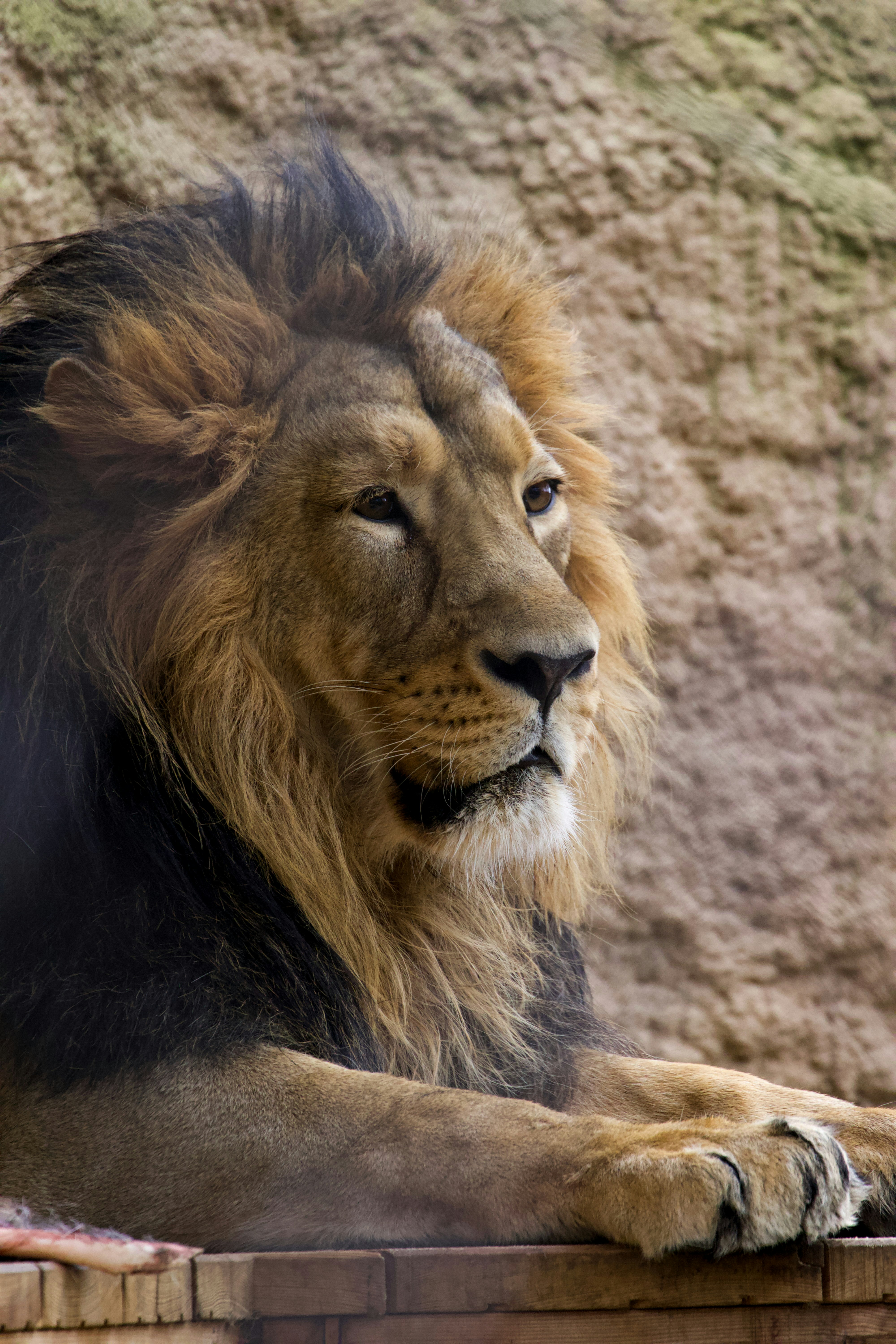 Photo by jakub_neskora