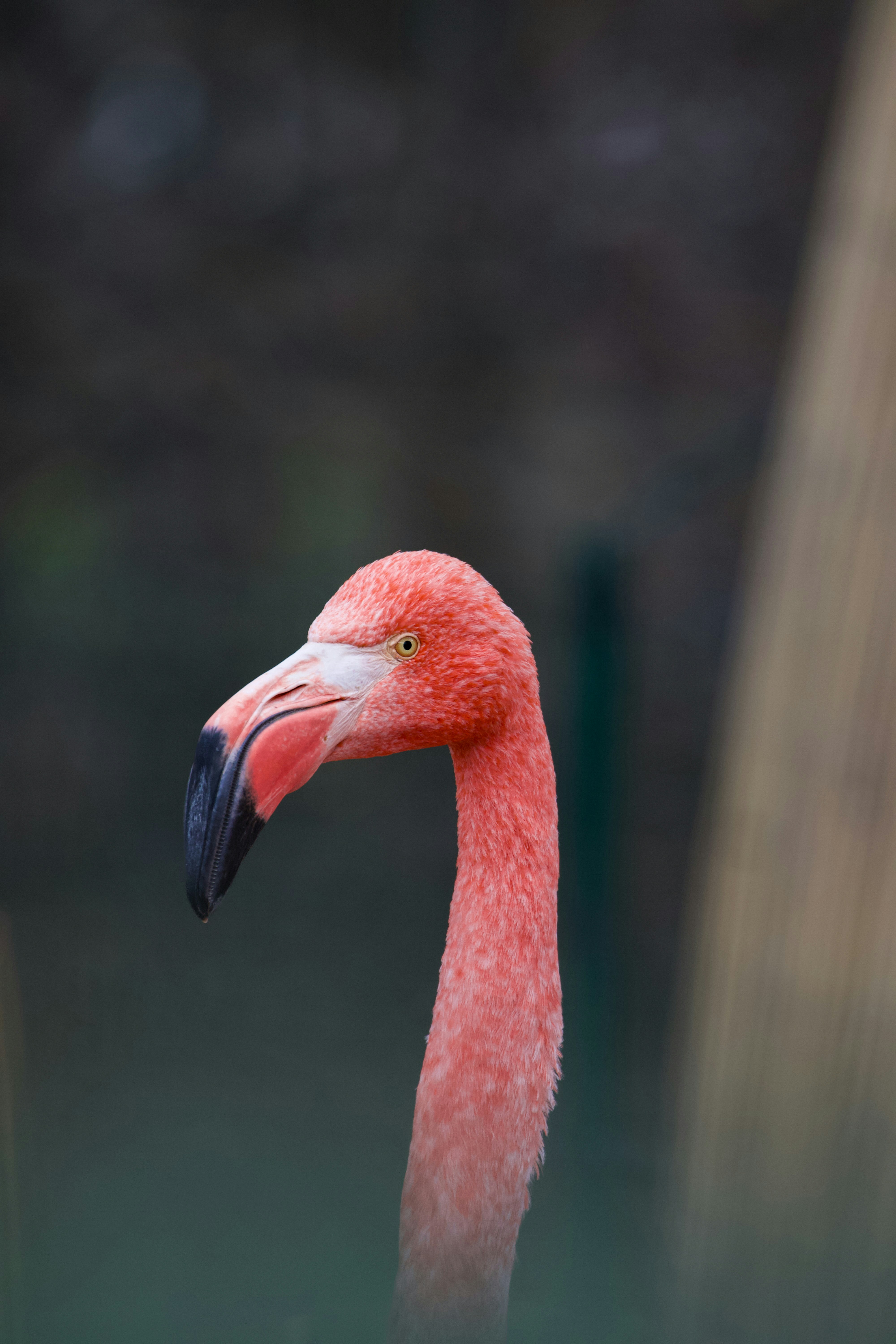 Photo by jakub_neskora