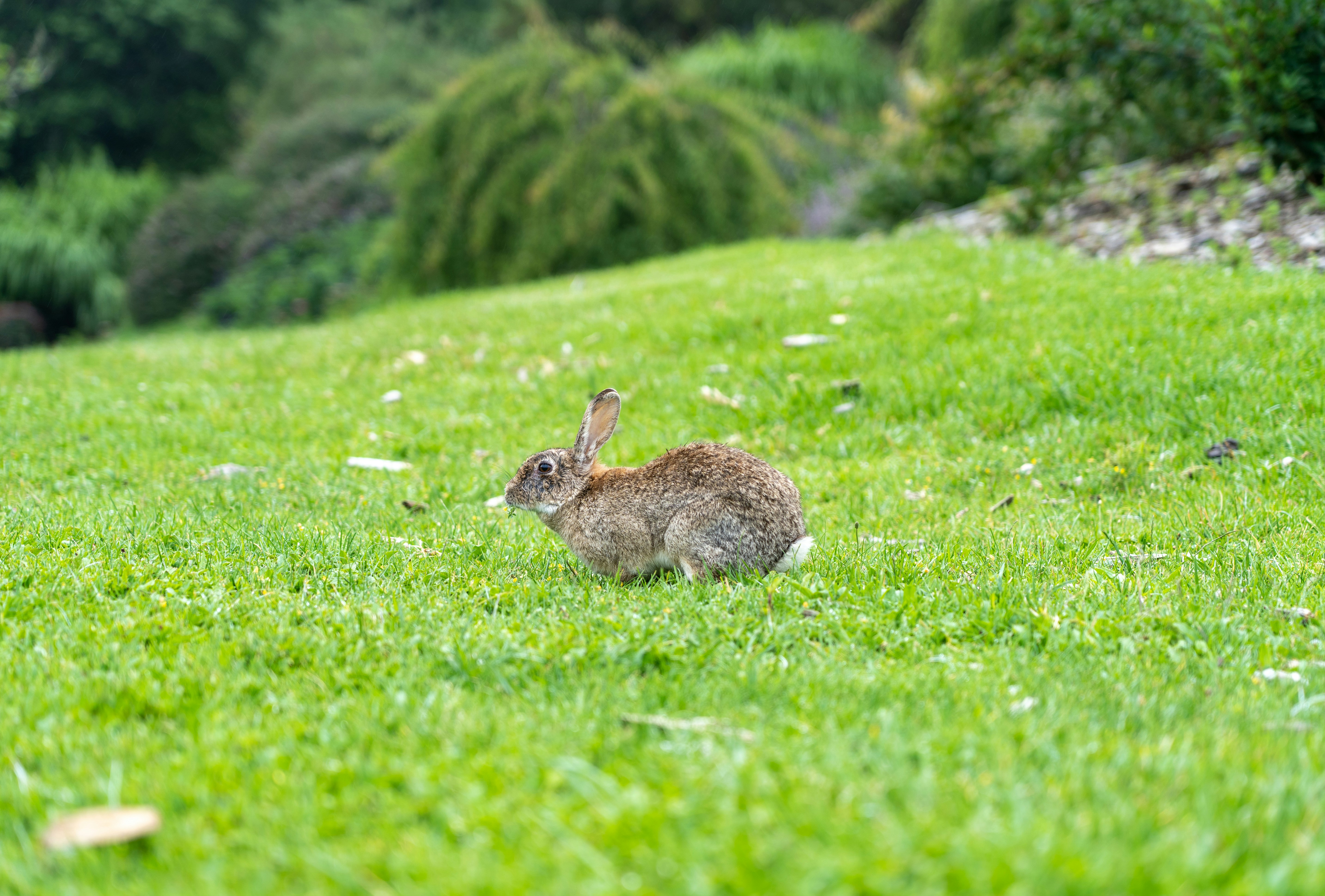 Photo by codydoesphoto